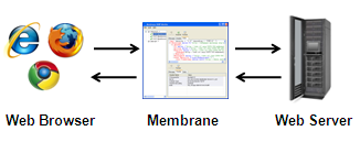 Tracing HTTP Traffic