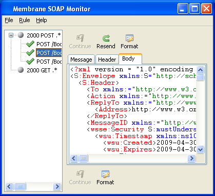 Monitoring SOAP messages using Membrane monitor