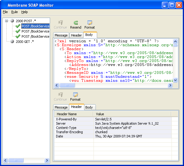 Monitoring SOAP messages using Membrane monitor